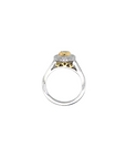 Oval Yellow Diamond Engagement Ring with Halo