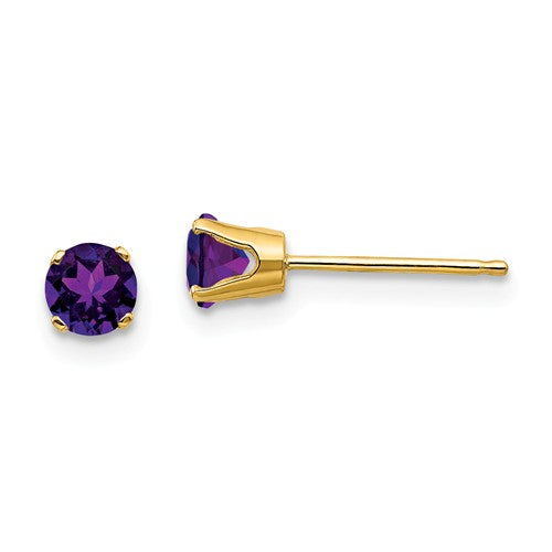 Amethyst Stud Earrings - Earrings